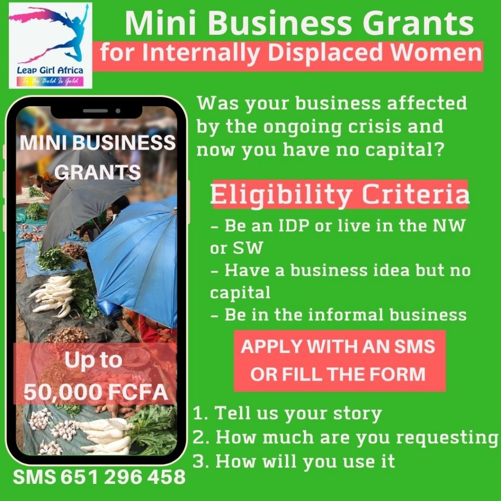 Mini business grant
